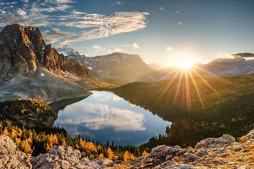 therapy with results